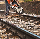 Copyright: <a href='https://www.123rf.com/profile_wabeno'>wabeno / 123RF Stock Photo</a>